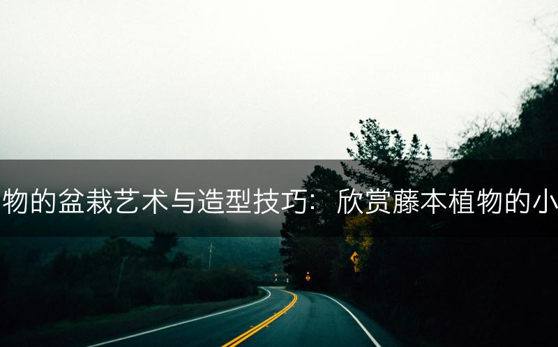 藤本植物的盆栽艺术与造型技巧：欣赏藤本植物的小品盆景(图1)
