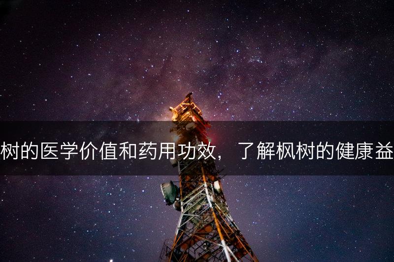 枫树的医学价值和药用功效，了解枫树的健康益处(图1)