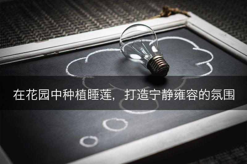 在花园中种植睡莲，打造宁静雍容的氛围(图1)
