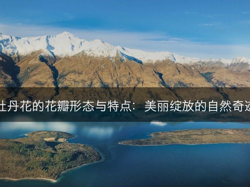 牡丹花的花瓣形态与特点：美丽绽放的自然奇迹(图1)