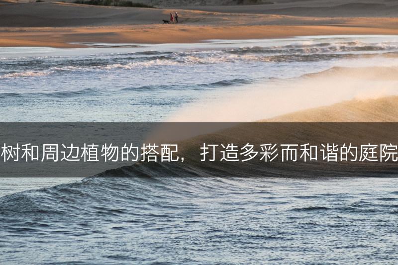 樱花树和周边植物的搭配，打造多彩而和谐的庭院景观(图1)