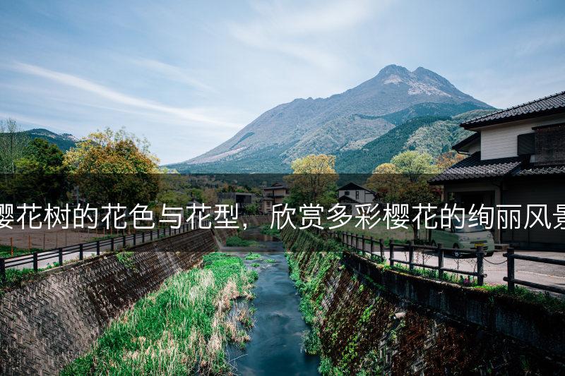 樱花树的花色与花型，欣赏多彩樱花的绚丽风景(图1)