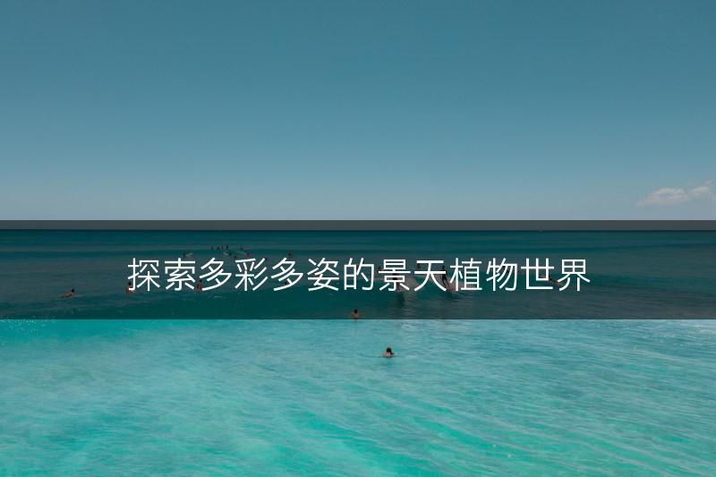 探索多彩多姿的景天植物世界(图1)