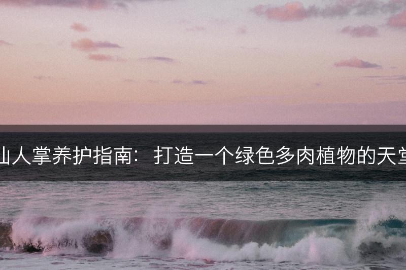仙人掌养护指南：打造一个绿色多肉植物的天堂(图1)