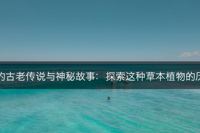 百里香的古老传说与神秘故事：探索这种草本植物的历史渊源(图1)