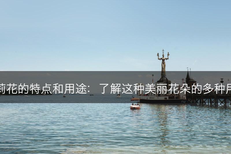 茉莉花的特点和用途:了解这种美丽花朵的多种用途(图1) 茉莉花的特点和用途:了解这种美丽花朵的多种用途(图1)