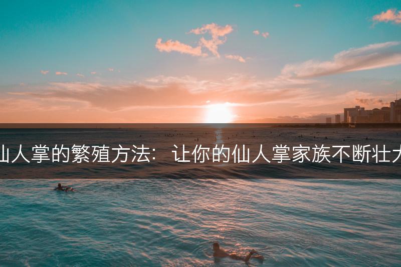 仙人掌的繁殖方法：让你的仙人掌家族不断壮大(图1)