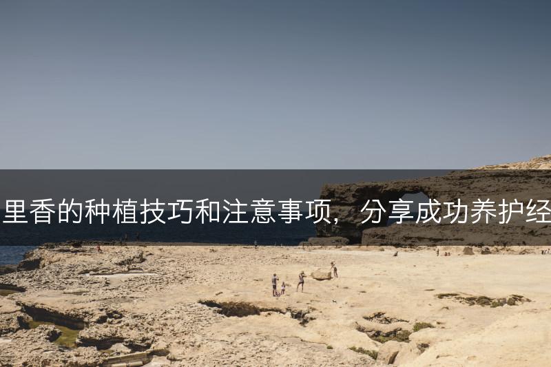 百里香的种植技巧和注意事项，分享成功养护经验(图1)
