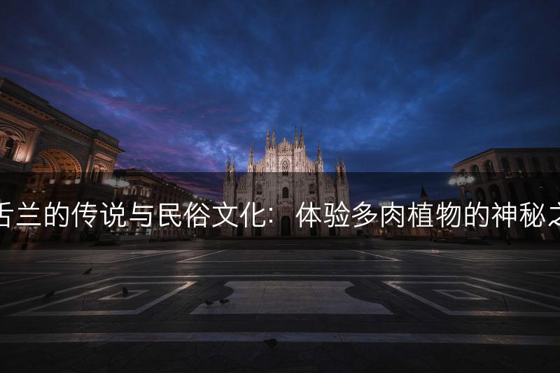 龙舌兰的传说与民俗文化：体验多肉植物的神秘之旅(图1)