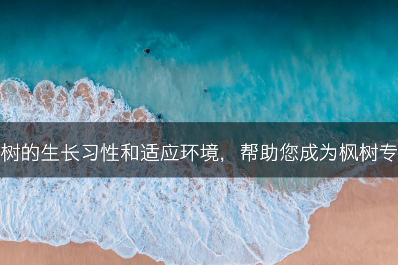 枫树的生长习性和适应环境，帮助您成为枫树专家(图1)