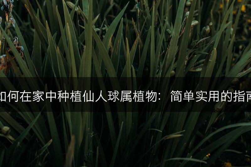 如何在家中种植仙人球属植物：简单实用的指南(图1)