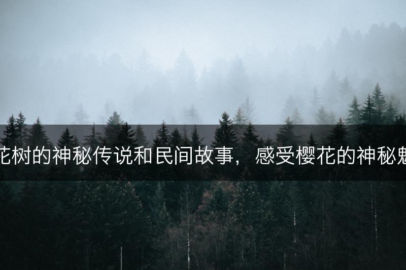 樱花树的神秘传说和民间故事，感受樱花的神秘魅力(图1)