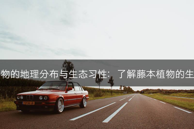 藤本植物的地理分布与生态习性:了解藤本植物的生态背景(图1) 藤本植物的地理分布与生态习性:了解藤本植物的生态背景(图1)