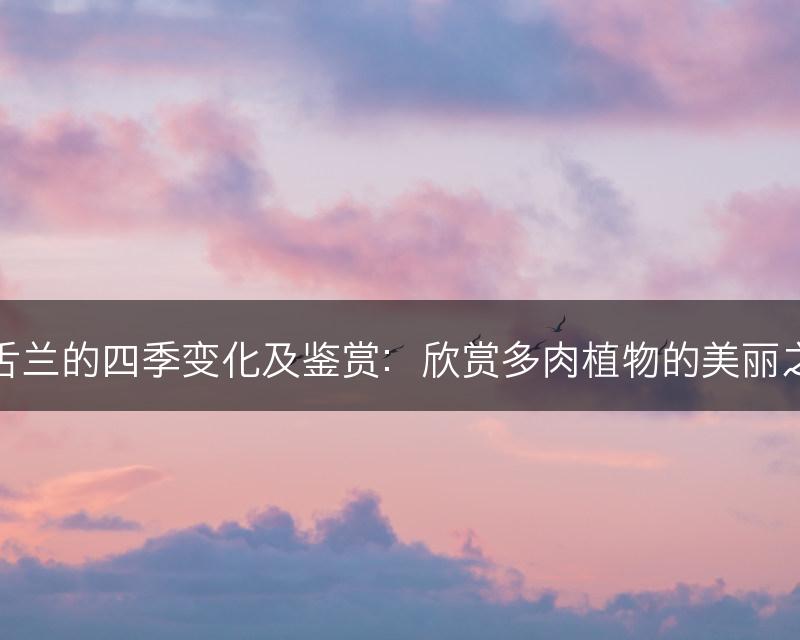 龙舌兰的四季变化及鉴赏:欣赏多肉植物的美丽之旅(图1) 龙舌兰的四季变化及鉴赏:欣赏多肉植物的美丽之旅(图1)