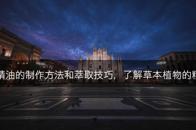 百里香精油的制作方法和萃取技巧，了解草本植物的精油工艺(图1)