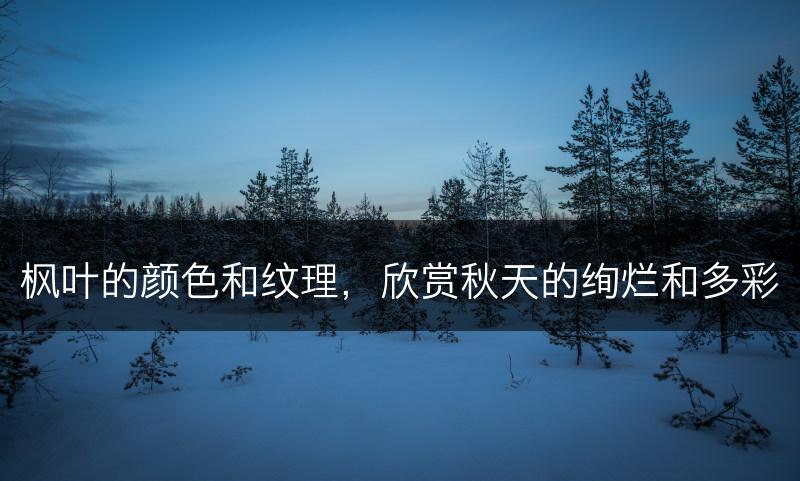 枫叶的颜色和纹理，欣赏秋天的绚烂和多彩(图1)