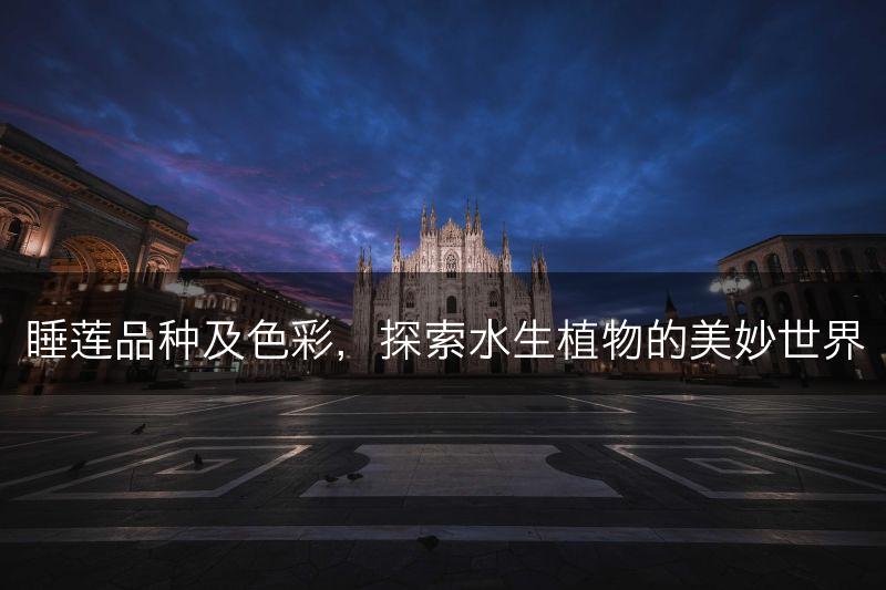 睡莲品种及色彩，探索水生植物的美妙世界(图1)