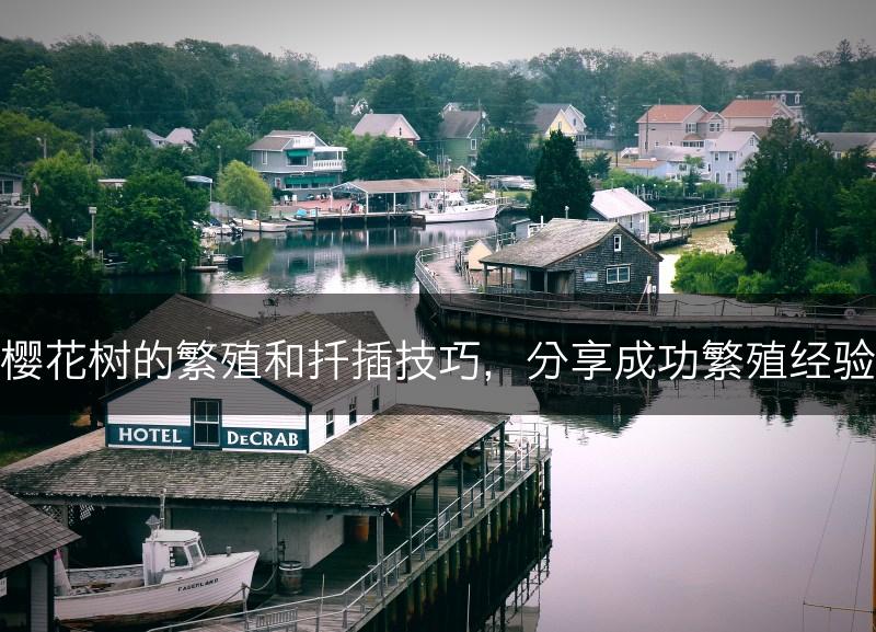 樱花树的繁殖和扦插技巧，分享成功繁殖经验(图1)