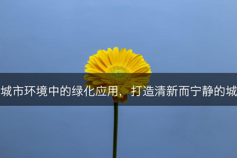 枫树在城市环境中的绿化应用，打造清新而宁静的城市景观(图1)