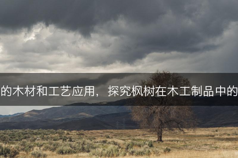 枫树的木材和工艺应用，探究枫树在木工制品中的价值(图1)