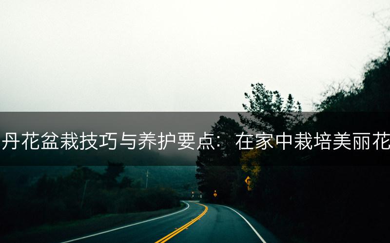 牡丹花盆栽技巧与养护要点：在家中栽培美丽花朵(图1)