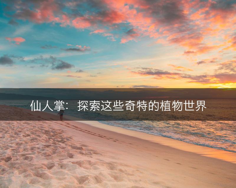 仙人掌：探索这些奇特的植物世界(图1)