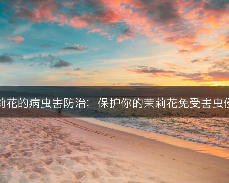 茉莉花的病虫害防治:保护你的茉莉花免受害虫侵袭(图1) 茉莉花的病虫害防治:保护你的茉莉花免受害虫侵袭(图1)