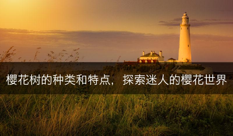 樱花树的种类和特点，探索迷人的樱花世界(图1)