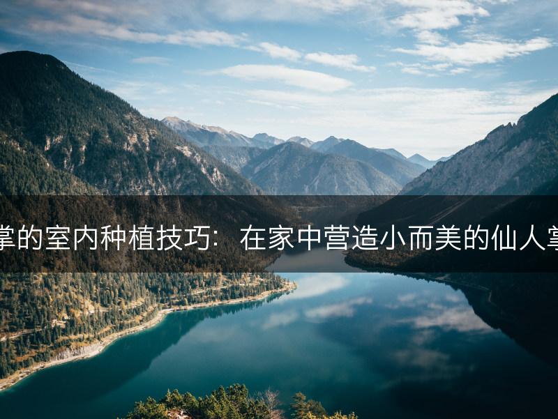 仙人掌的室内种植技巧：在家中营造小而美的仙人掌花园(图1)