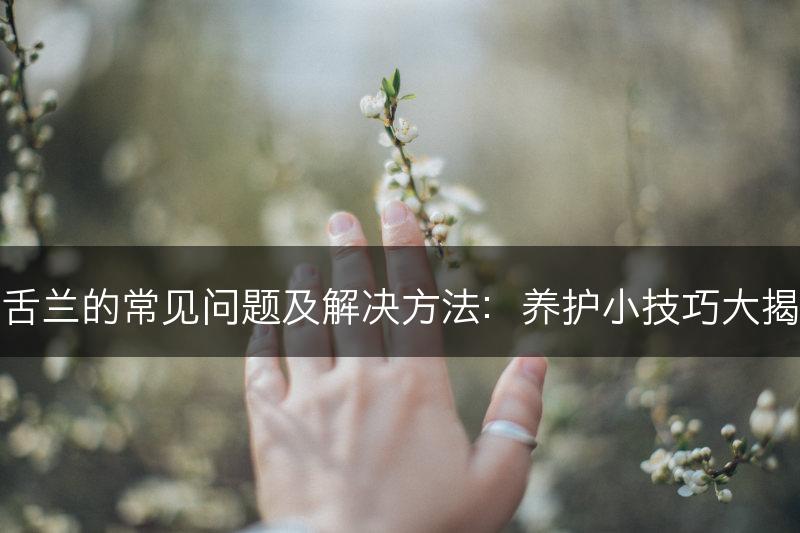 龙舌兰的常见问题及解决方法:养护小技巧大揭秘(图1) 龙舌兰的常见问题及解决方法:养护小技巧大揭秘(图1)