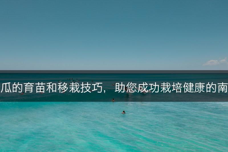 南瓜的育苗和移栽技巧,助您成功栽培健康的南瓜(图1) 南瓜的育苗和移栽技巧,助您成功栽培健康的南瓜(图1)