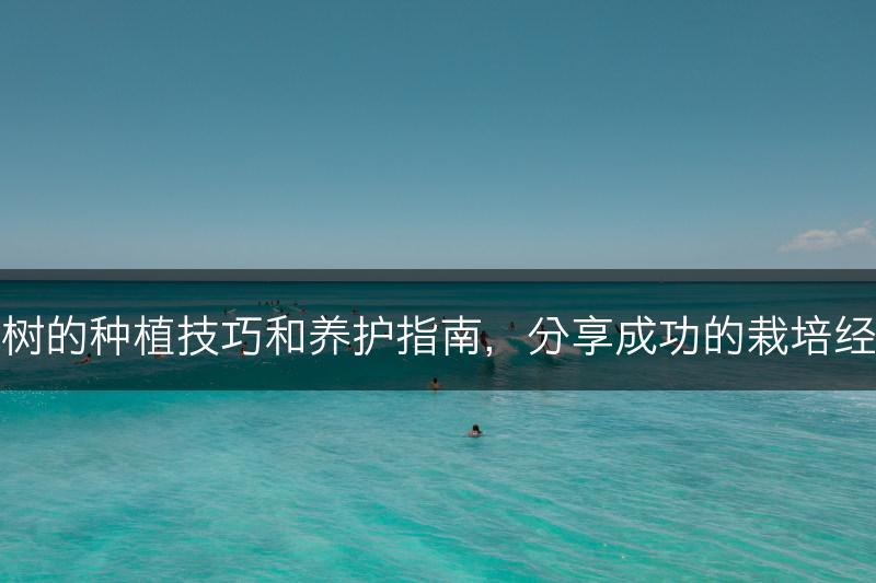 枫树的种植技巧和养护指南，分享成功的栽培经验(图1)