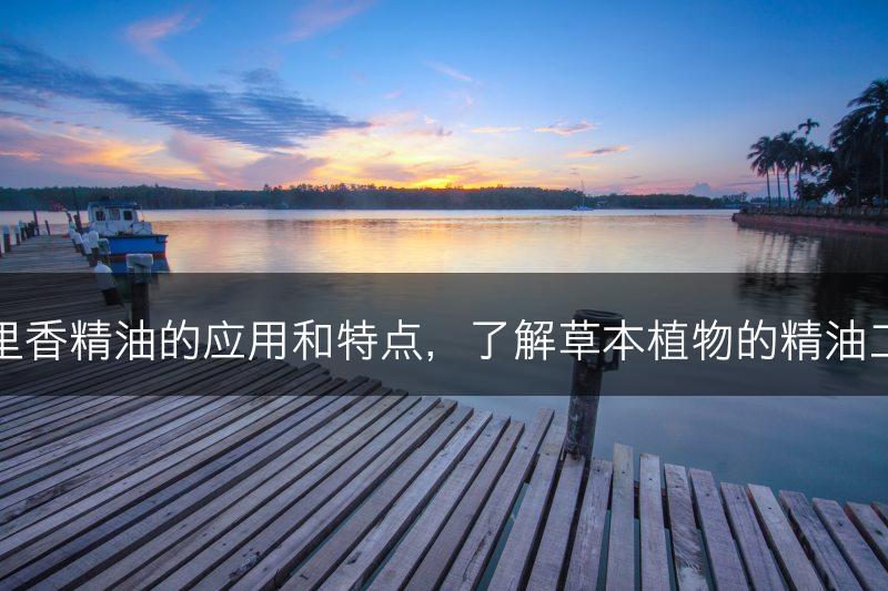 百里香精油的应用和特点，了解草本植物的精油工艺(图1)