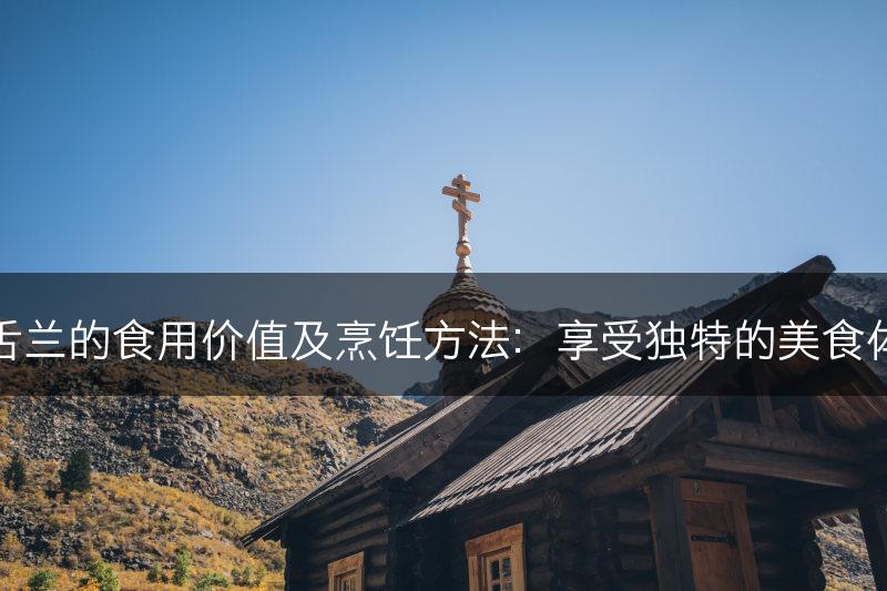 龙舌兰的食用价值及烹饪方法：享受独特的美食体验(图1)