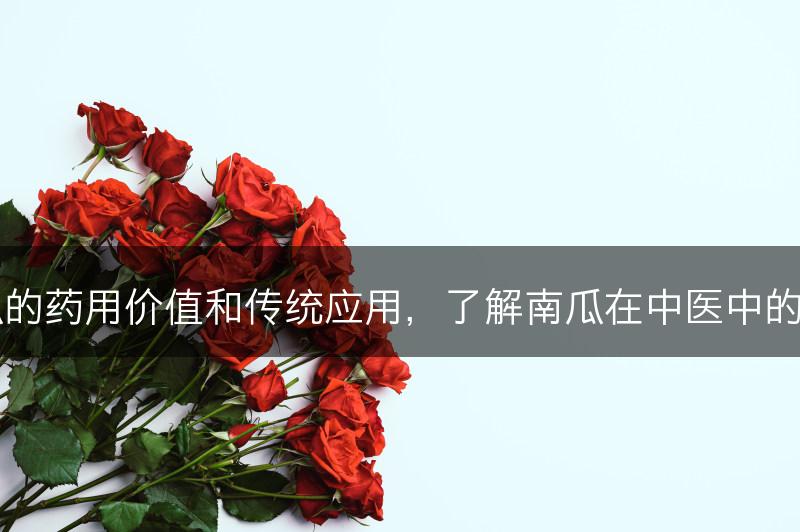 南瓜的药用价值和传统应用，了解南瓜在中医中的作用(图1)