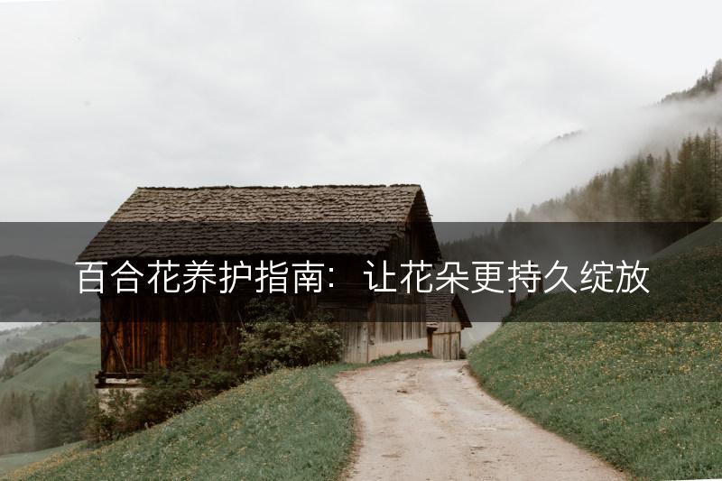 百合花养护指南：让花朵更持久绽放(图1)