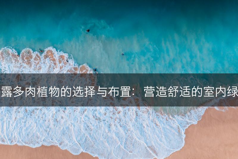 室内玉露多肉植物的选择与布置：营造舒适的室内绿化环境(图1)