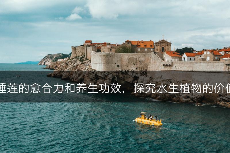 睡莲的愈合力和养生功效，探究水生植物的价值(图1)