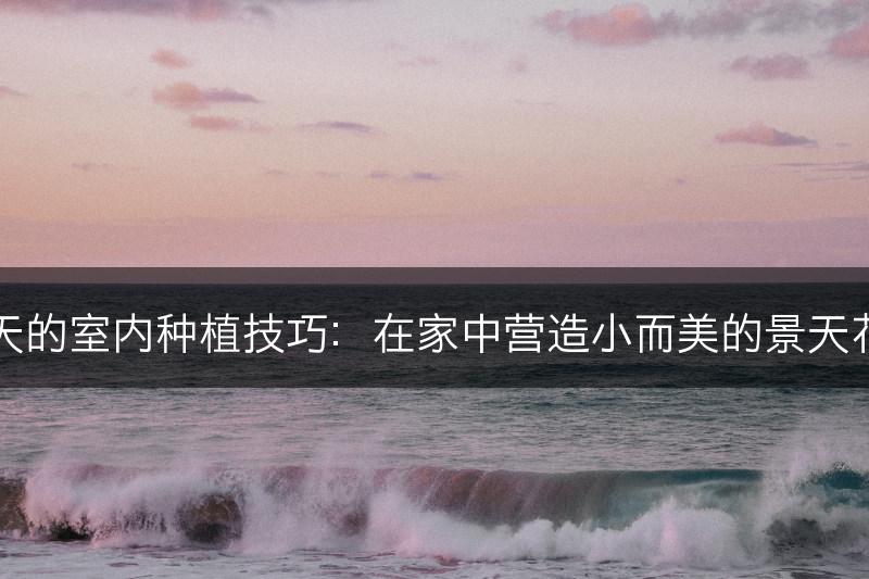 景天的室内种植技巧：在家中营造小而美的景天花园(图1)