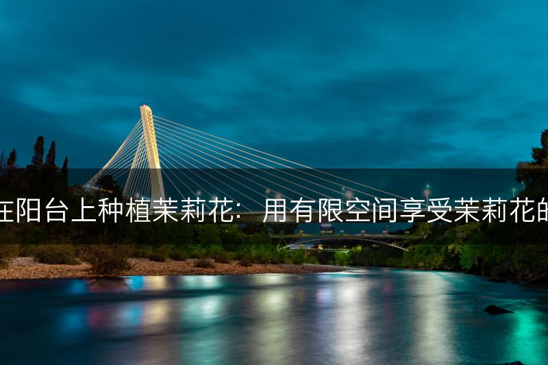 如何在阳台上种植茉莉花:用有限空间享受茉莉花的美丽(图1) 如何在阳台上种植茉莉花:用有限空间享受茉莉花的美丽(图1)