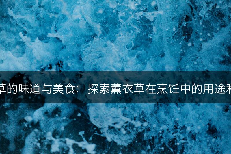 薰衣草的味道与美食：探索薰衣草在烹饪中的用途和创意(图1)
