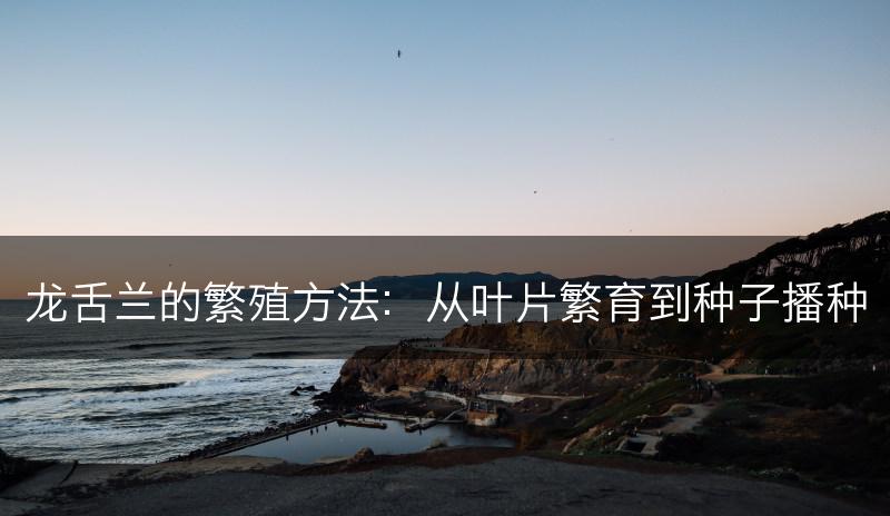 龙舌兰的繁殖方法:从叶片繁育到种子播种(图1) 龙舌兰的繁殖方法:从叶片繁育到种子播种(图1)