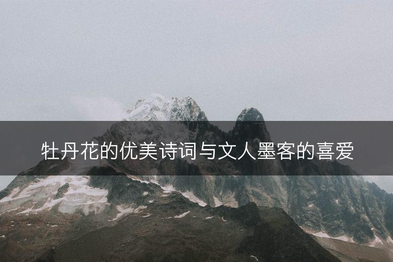 牡丹花的优美诗词与文人墨客的喜爱(图1)
