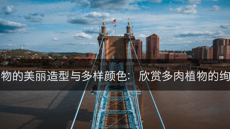 景天植物的美丽造型与多样颜色：欣赏多肉植物的绚丽之美(图1)