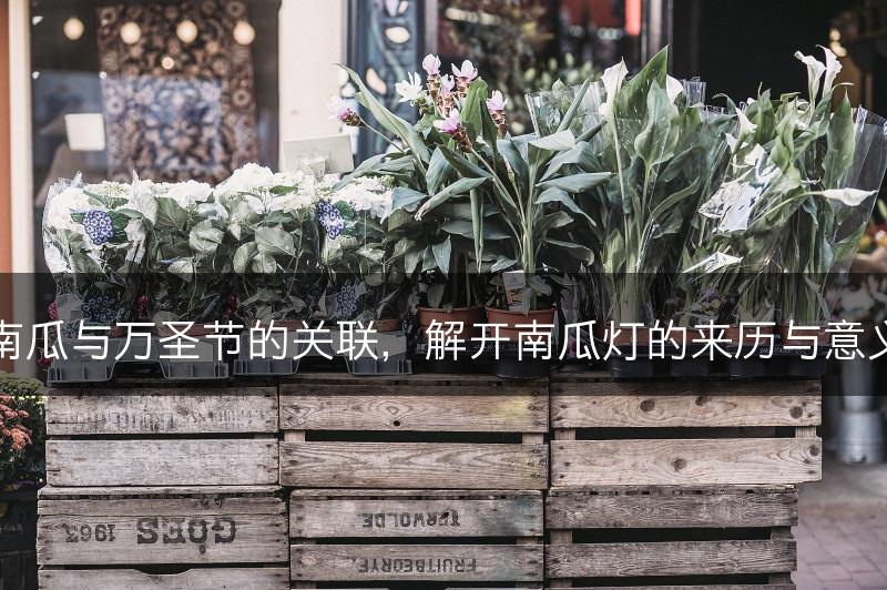 南瓜与万圣节的关联,解开南瓜灯的来历与意义(图1) 南瓜与万圣节的关联,解开南瓜灯的来历与意义(图1)