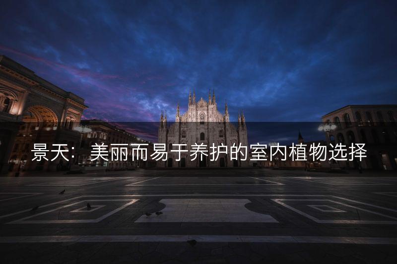 景天：美丽而易于养护的室内植物选择(图1)