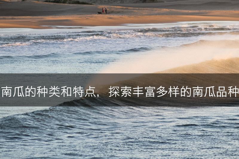 南瓜的种类和特点,探索丰富多样的南瓜品种(图1) 南瓜的种类和特点,探索丰富多样的南瓜品种(图1)