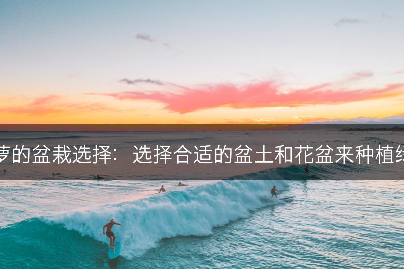 绿萝的盆栽选择：选择合适的盆土和花盆来种植绿萝(图1)