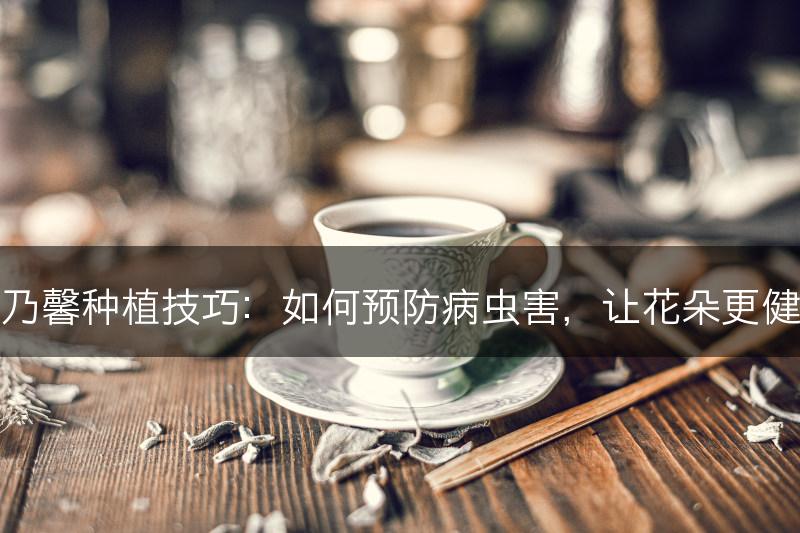 康乃馨种植技巧：如何预防病虫害，让花朵更健康(图1)