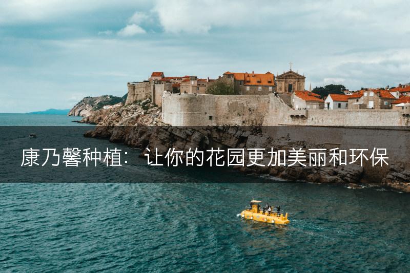 康乃馨种植：让你的花园更加美丽和环保(图1)